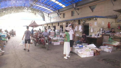 金普农批市场升级改造 打造现代化农副产品流通新枢纽